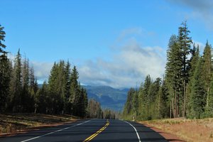 hwy 230 through the state forest