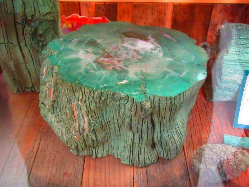 Rare green petrified wood