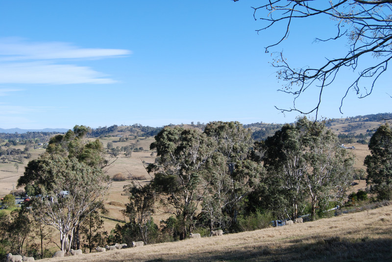 Bega and Surrounds