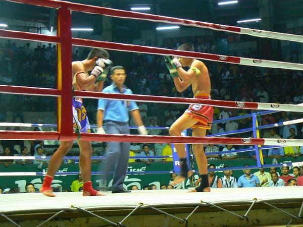 Muay Thai Kick Boxing