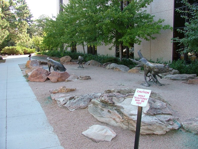 Wolves Outside the Museum