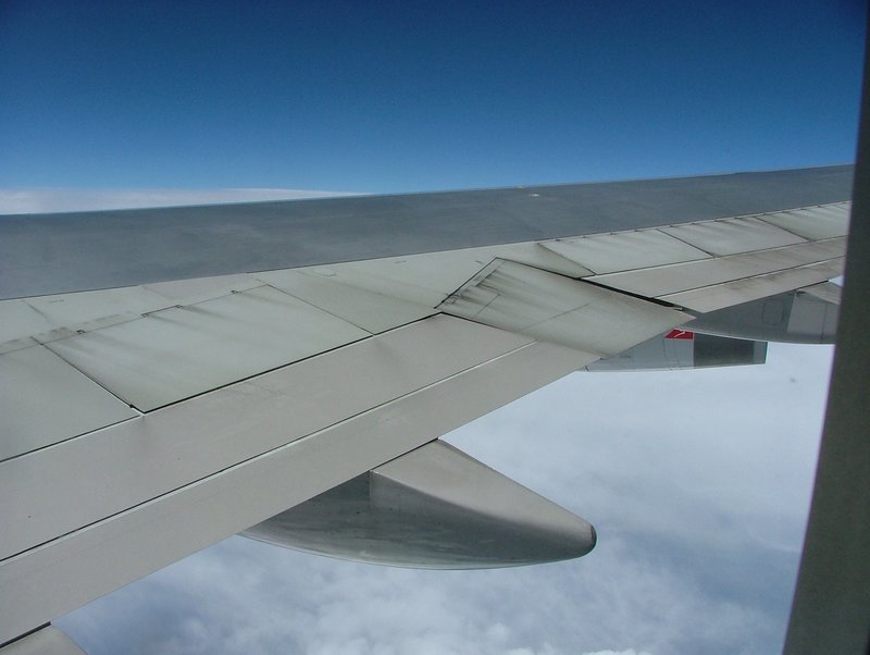 Picture of the Wing