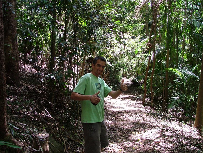 Ivan in the Rain Forest