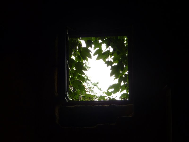My bedroom window