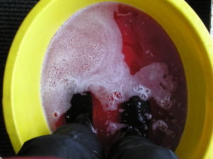 Disinfecting My Boots