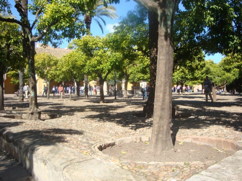 Courtyard of the Mesquita