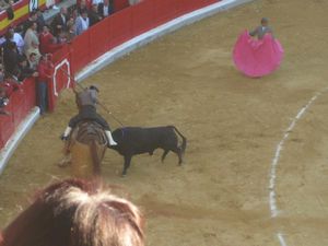 Bull against horse