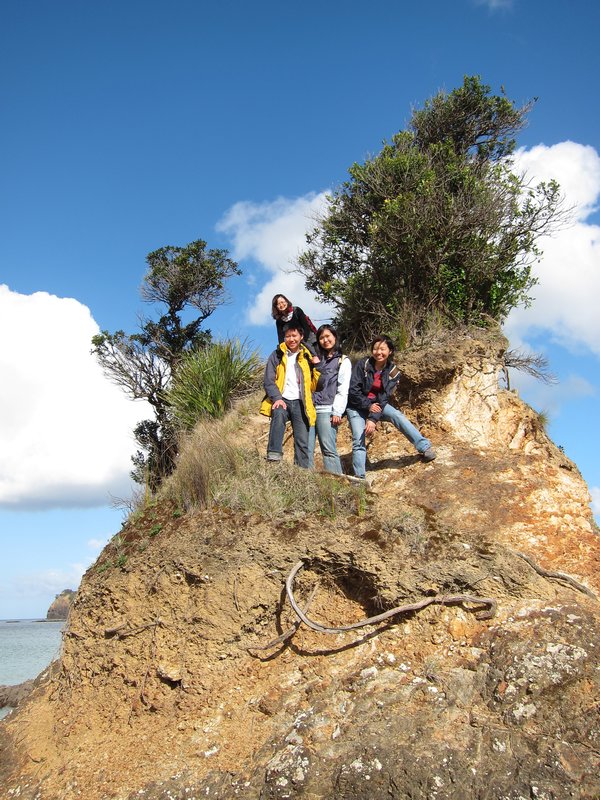 Matapouri Bay lookout