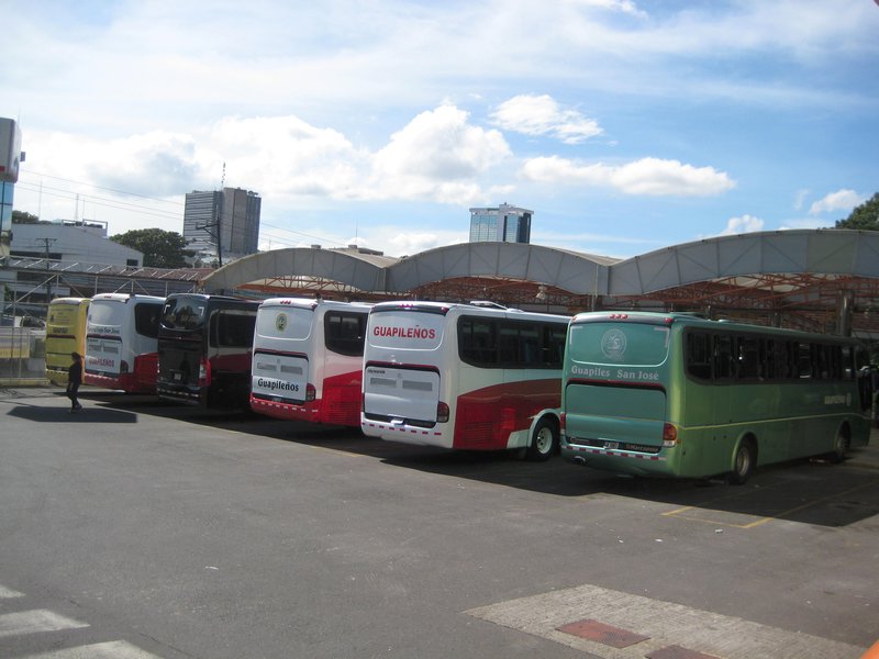 Buses to Cariari and other places