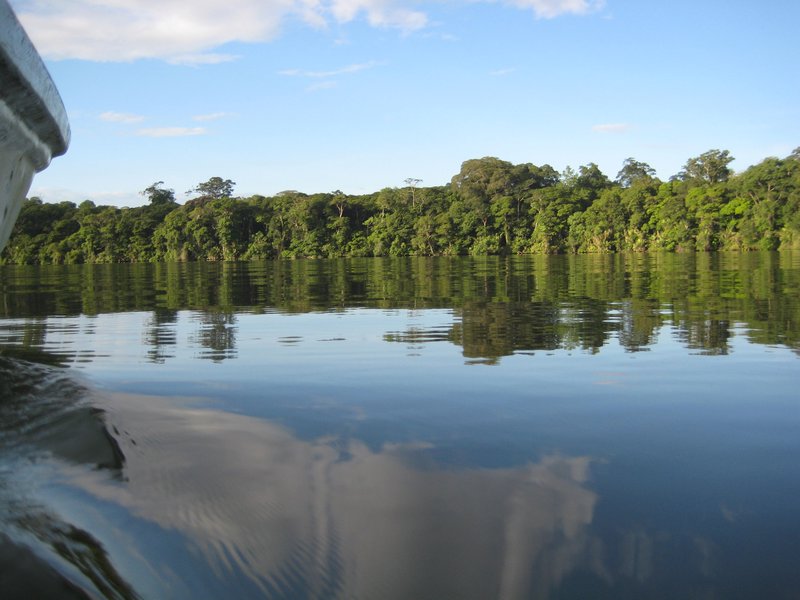 Our 6:00am canal tour of Tortuguero National Park was stunning