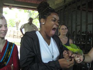 The bird clawing Nneka's finger to death hahahahaha