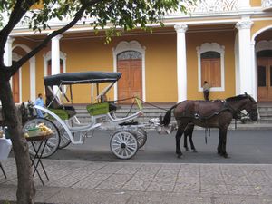 lots of horses and carriages!