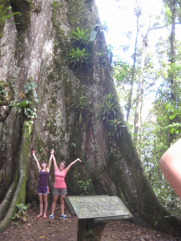 Gina and I with the monster tree