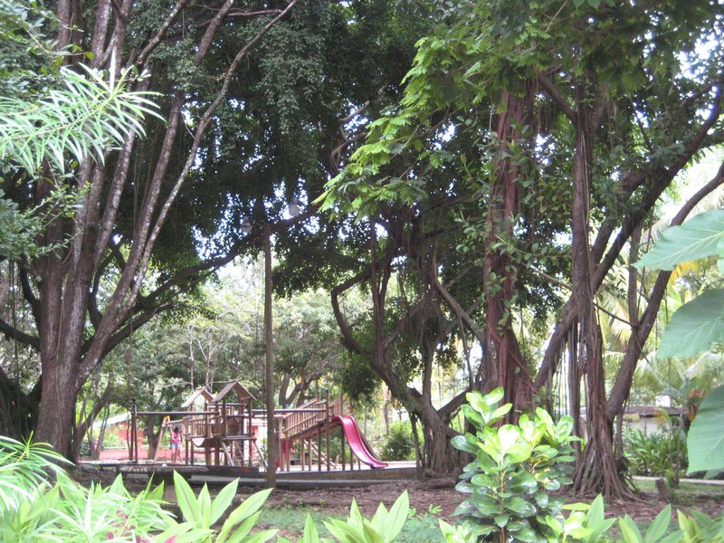 Montezuma park