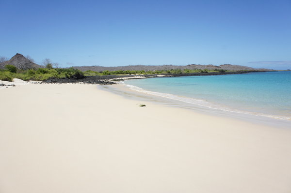 The white sand beach on Isla Bartolome (Bartholomew)