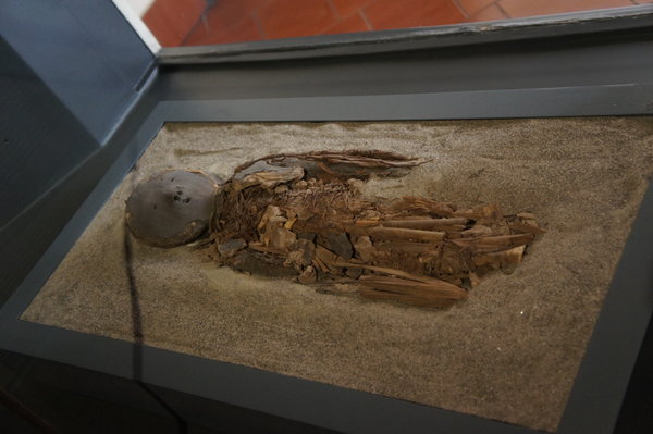 Pre-Colombian Chinchorro mummies