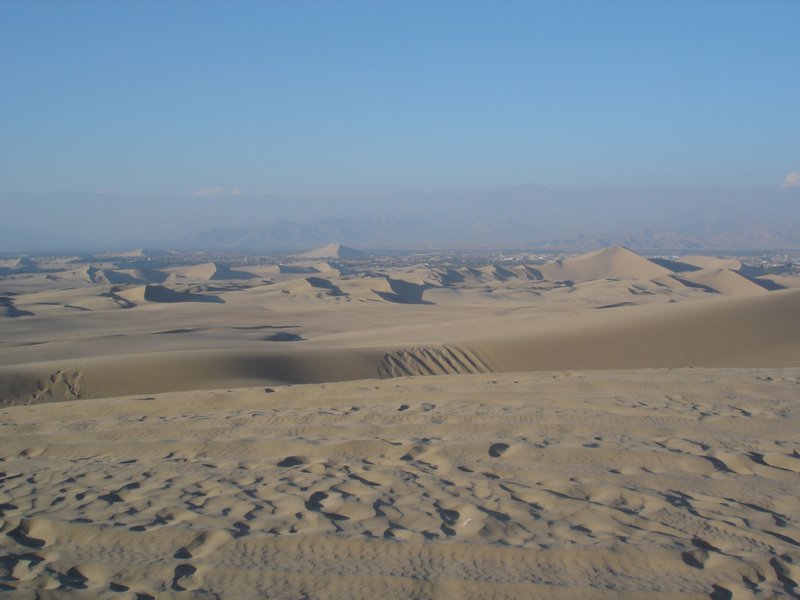 the dunes as far as the eye can see