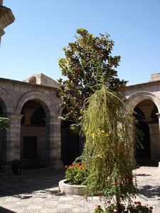 courtyard at Santa Catalina Convent