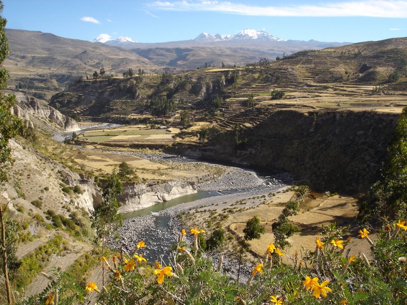 Colca Valley near Yanque