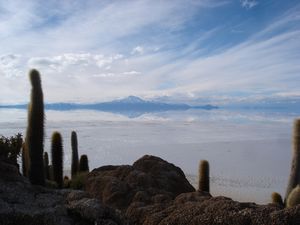 cacti, volcanoes and reflections