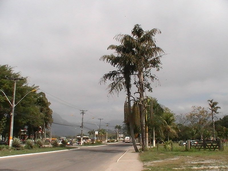 the road into Paraty