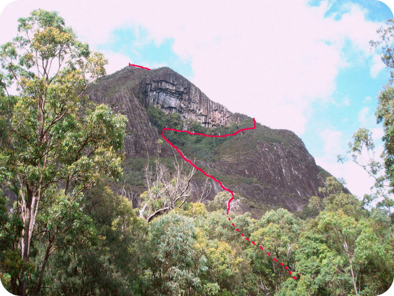 The route up Mt Beerwah