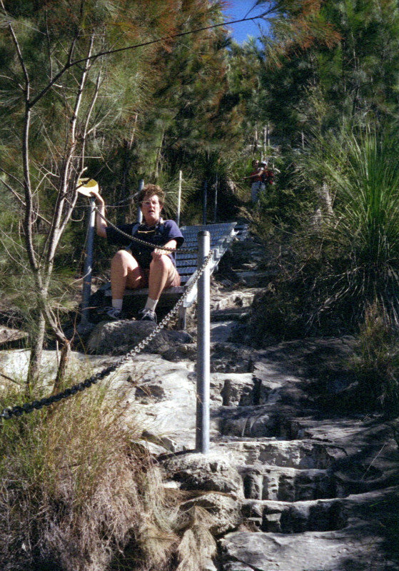 the track up Mt Cooroora