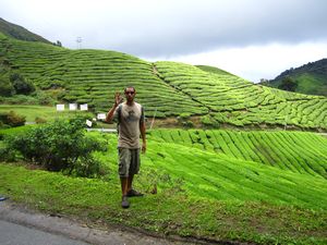 Terry at the tea plantation in Cameron Highlands