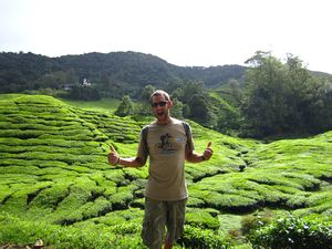 Terry in the Cameron Highlands