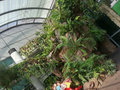 THE BUTTERFLY DOME...Like the Thunderdome but with less thunder