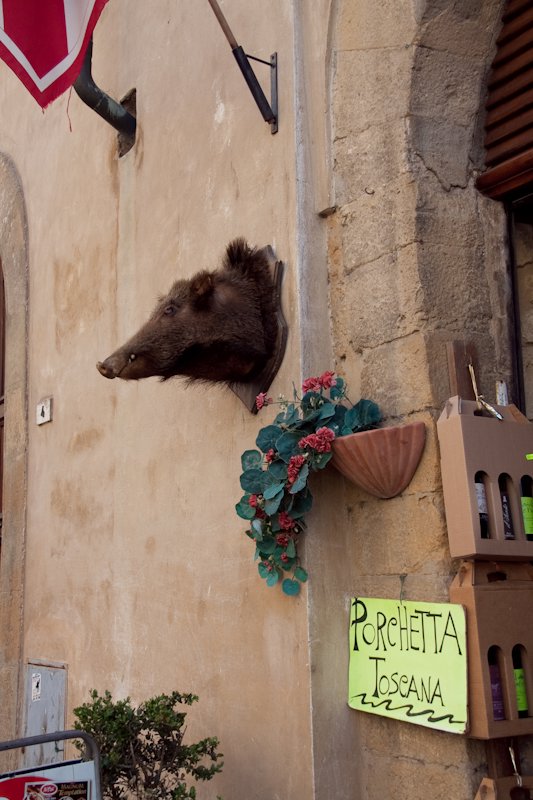 Wild boar head to mark the Proscuitto shop