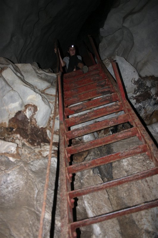 One of the Many Narrow Ladders in Cave