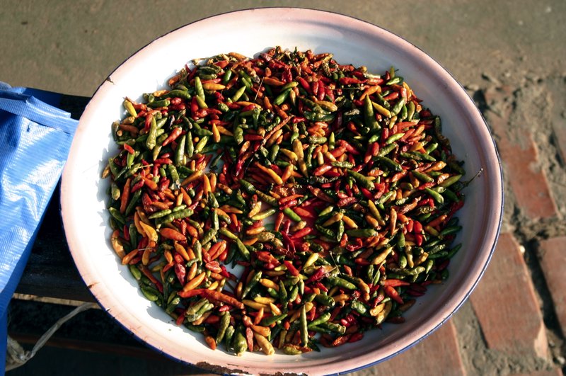 Dried chilies