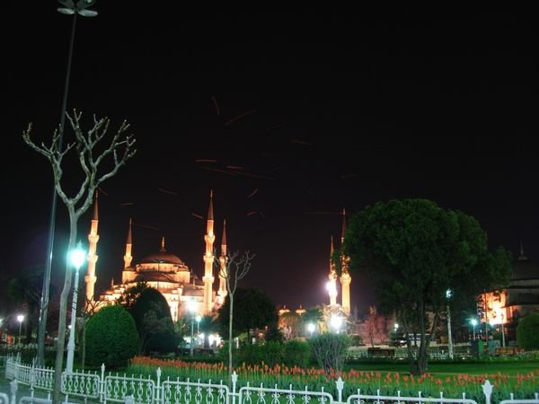 Blue Mosque by Night