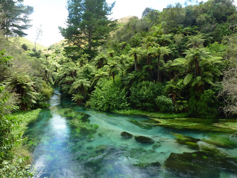 Waihau River 3