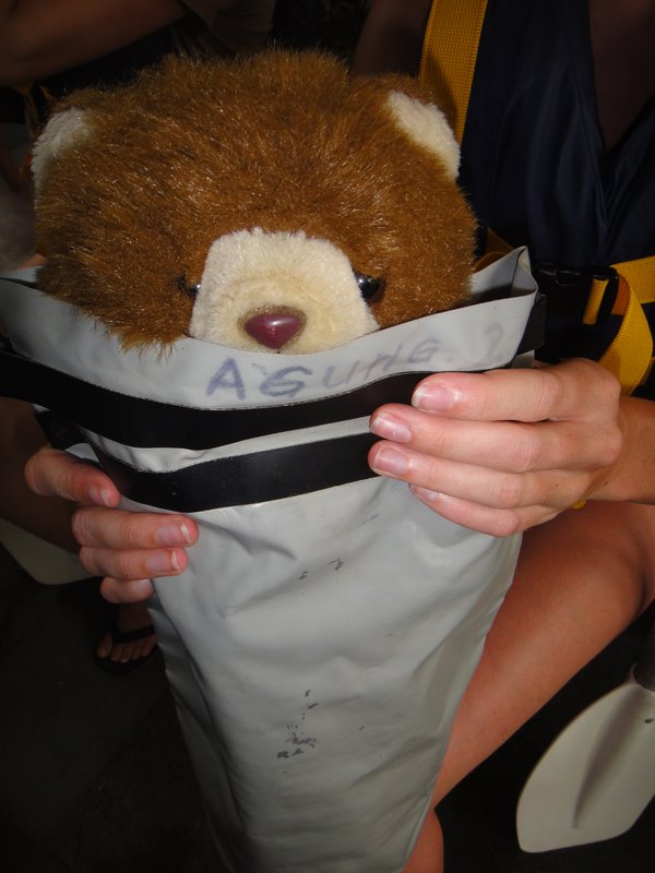 Barnaby safely in his waterproof bag!