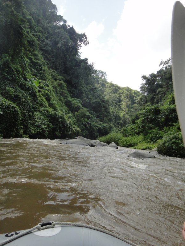 The Ayung River