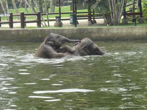 Baby and mummy having a swim
