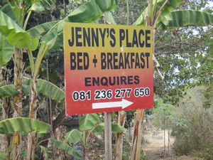 Jenny, you have branched out!