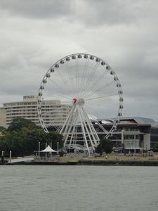 Brisbane's Eye