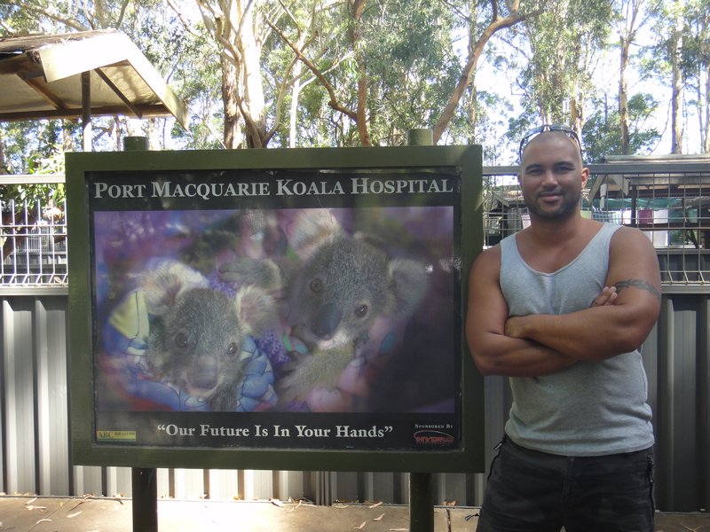 Anton at the koala hospital