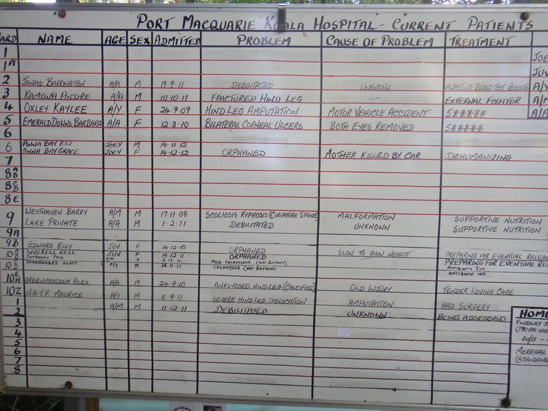 The patient board