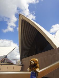 Barnaby at Sydney Opera House