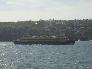A ferry similar to the one we got back from Manly