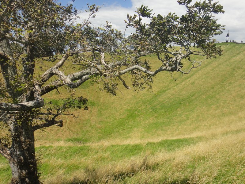 The crater at Mount Eden