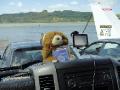 Barnaby enjpoying the ride on the car ferry