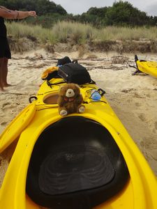 Barnaby on the kayak
