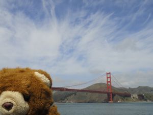 Barnaby at Golden Gate Bridge