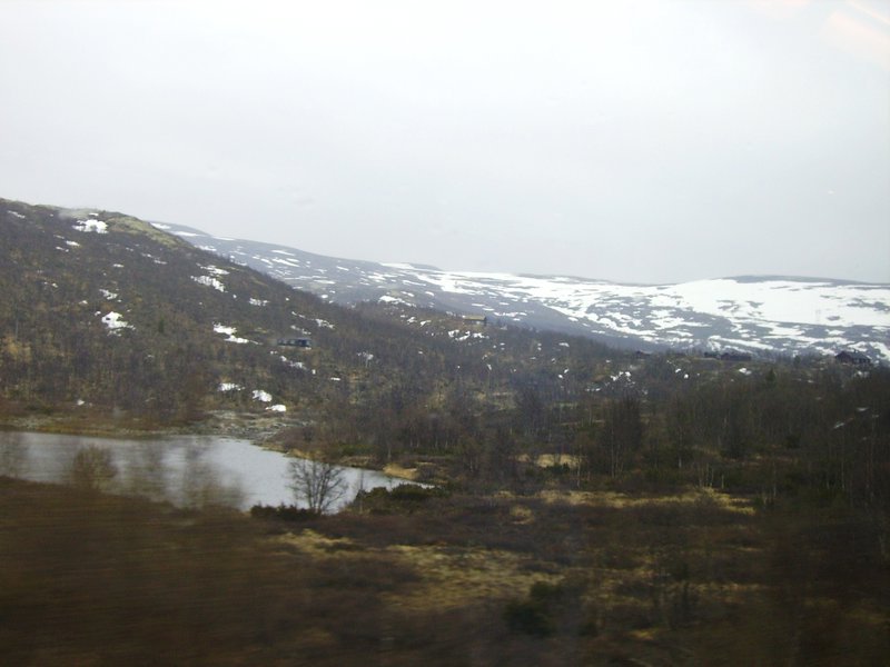 on the Hardangervidda plateau