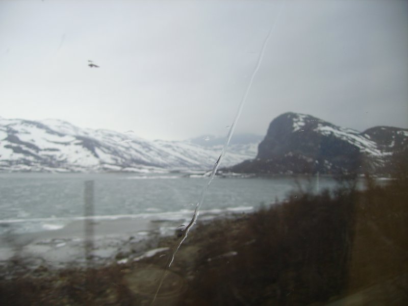 Beautiful nature on the way to Bergen